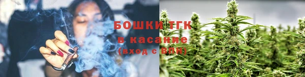 spice Тында